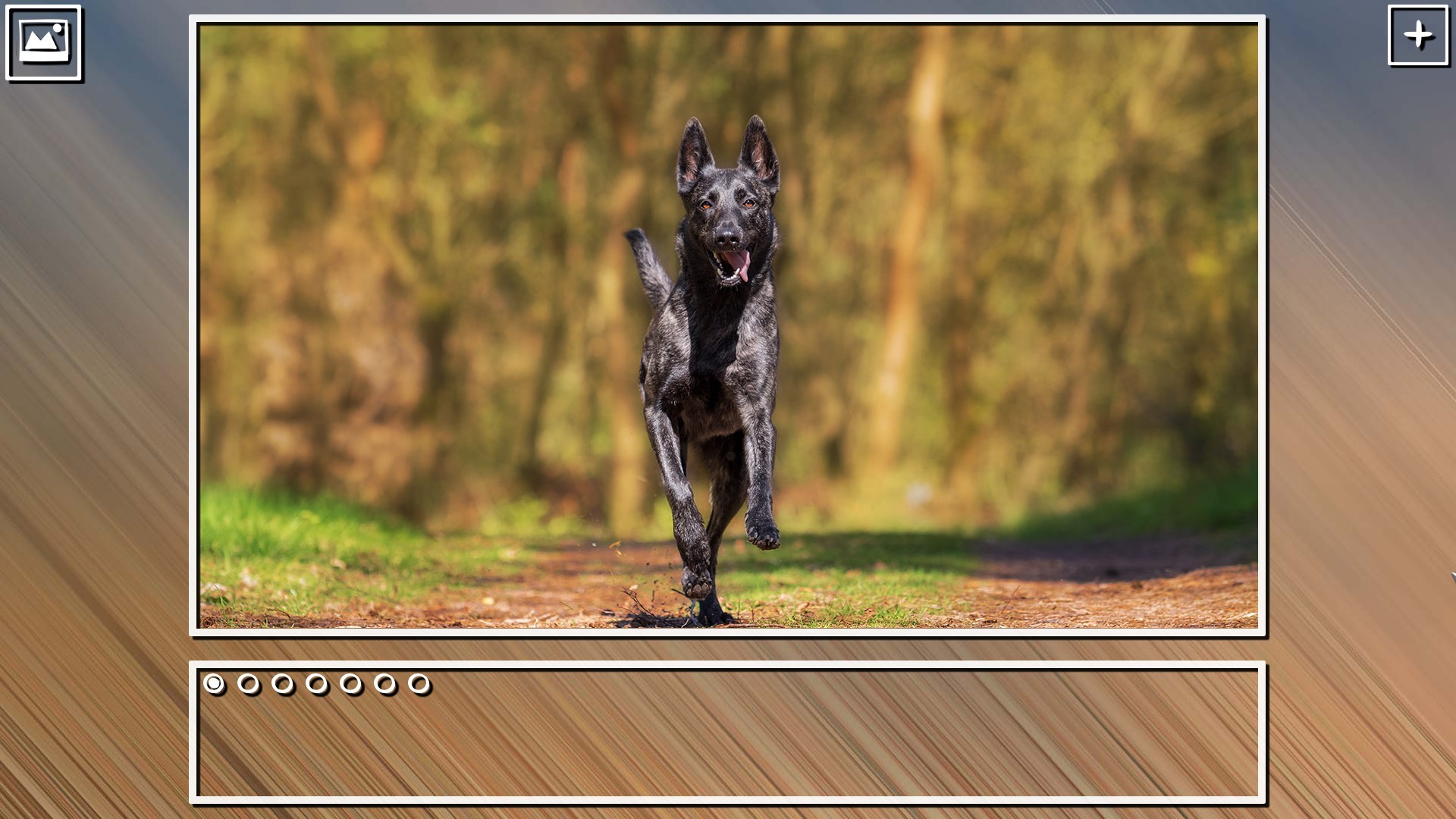 Super Jigsaw Puzzle: Generations - Dogs Puzzles screenshot 17
