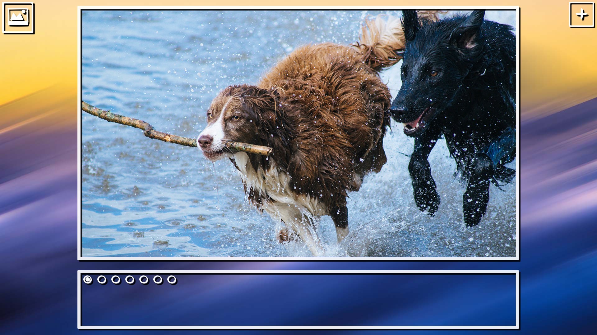 Super Jigsaw Puzzle: Generations - Dogs Puzzles screenshot 20