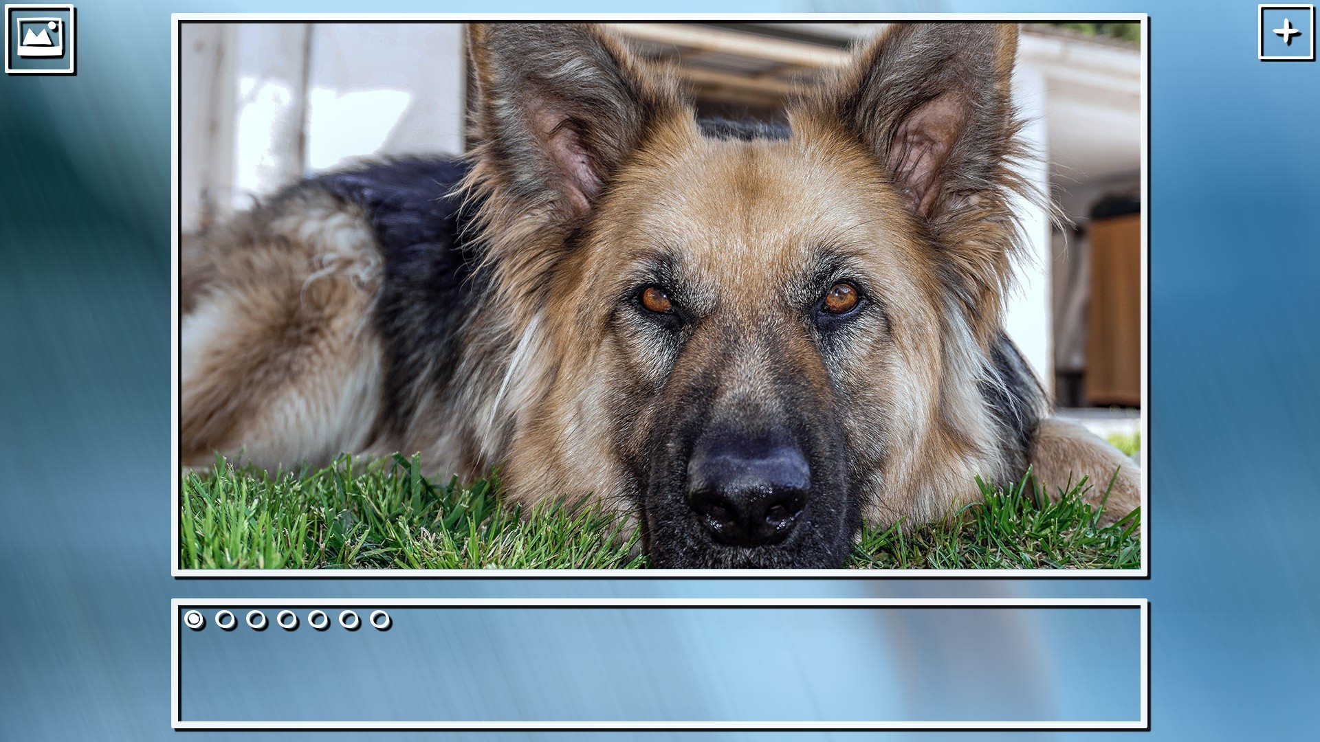 Super Jigsaw Puzzle: Generations - Dogs Puzzles screenshot 18