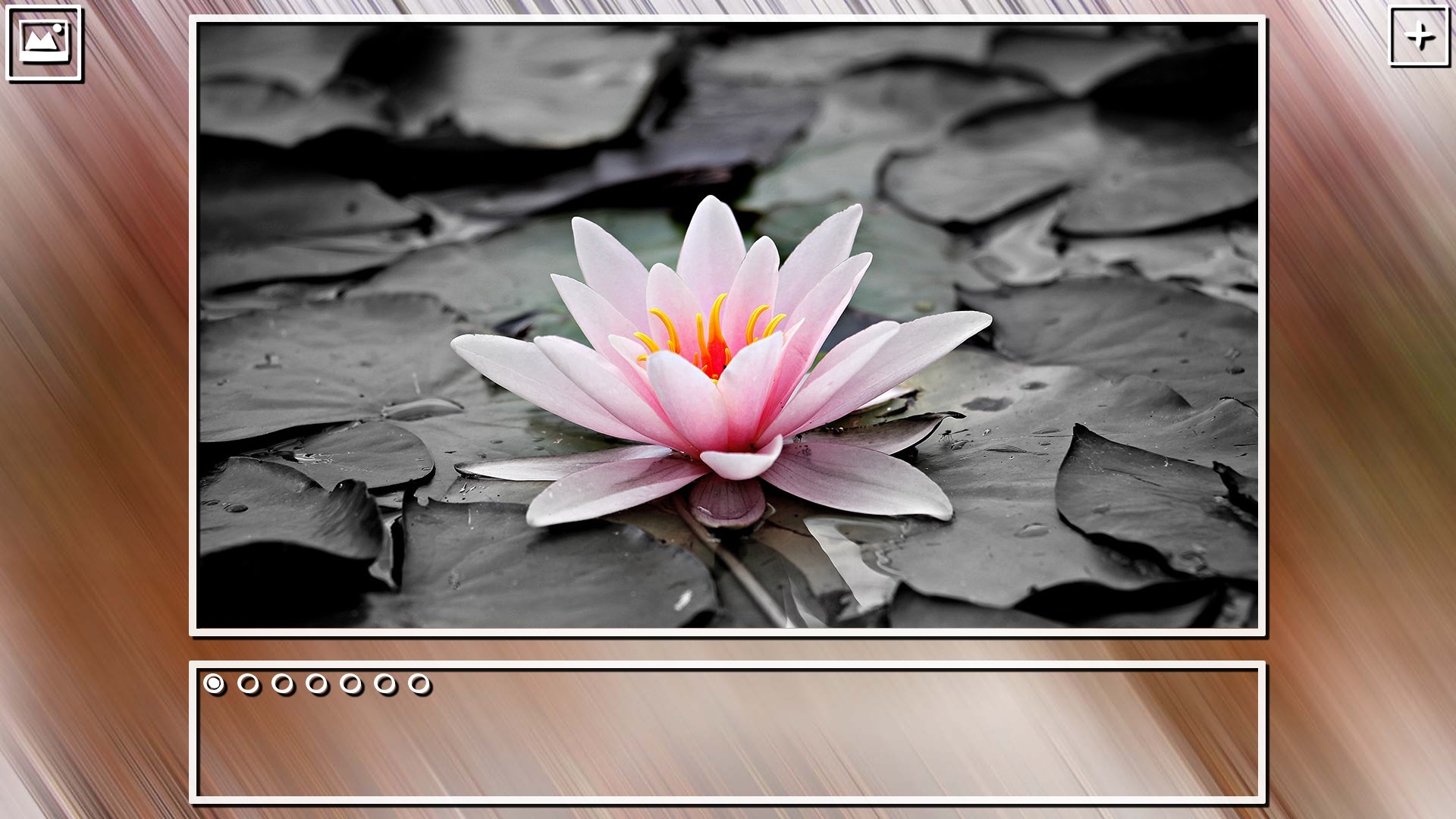 Super Jigsaw Puzzle: Generations - Flowers Puzzles screenshot 22