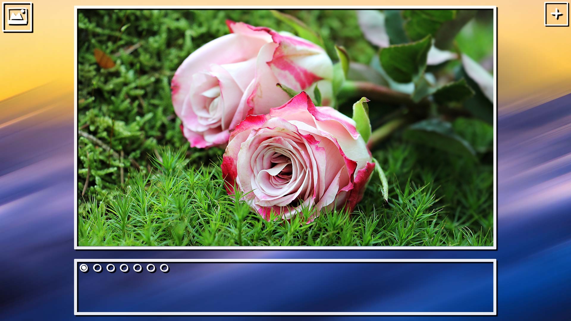 Super Jigsaw Puzzle: Generations - Flowers Puzzles screenshot 18