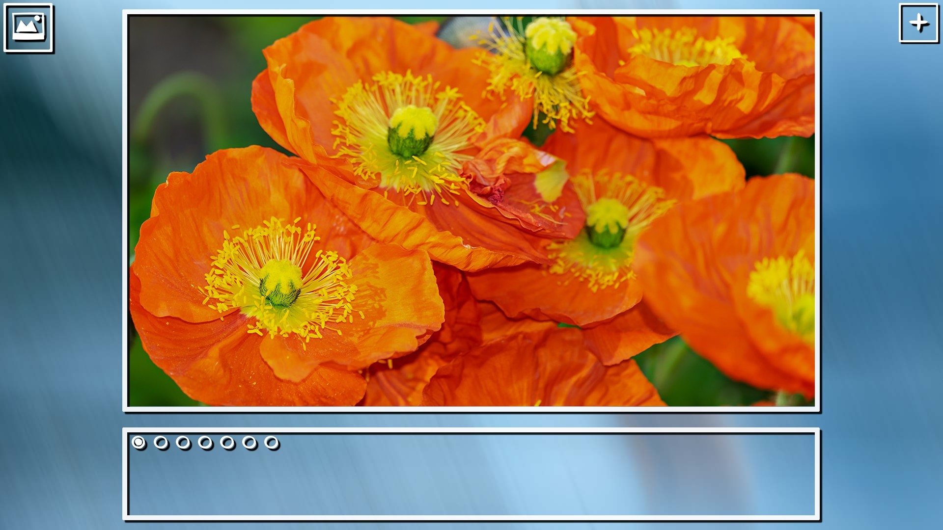 Super Jigsaw Puzzle: Generations - Flowers Puzzles screenshot 14