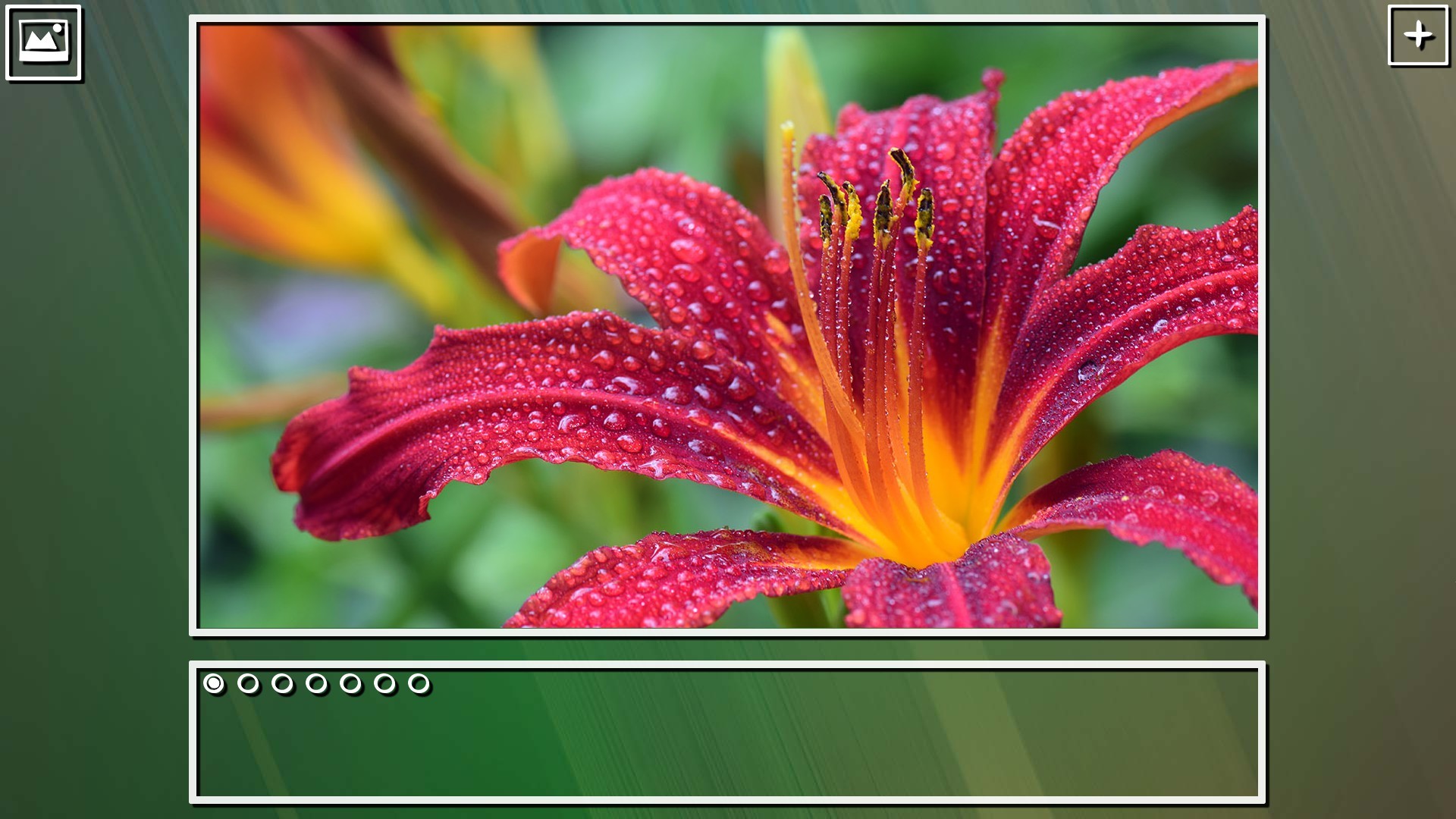 Super Jigsaw Puzzle: Generations - Flowers Puzzles screenshot 9