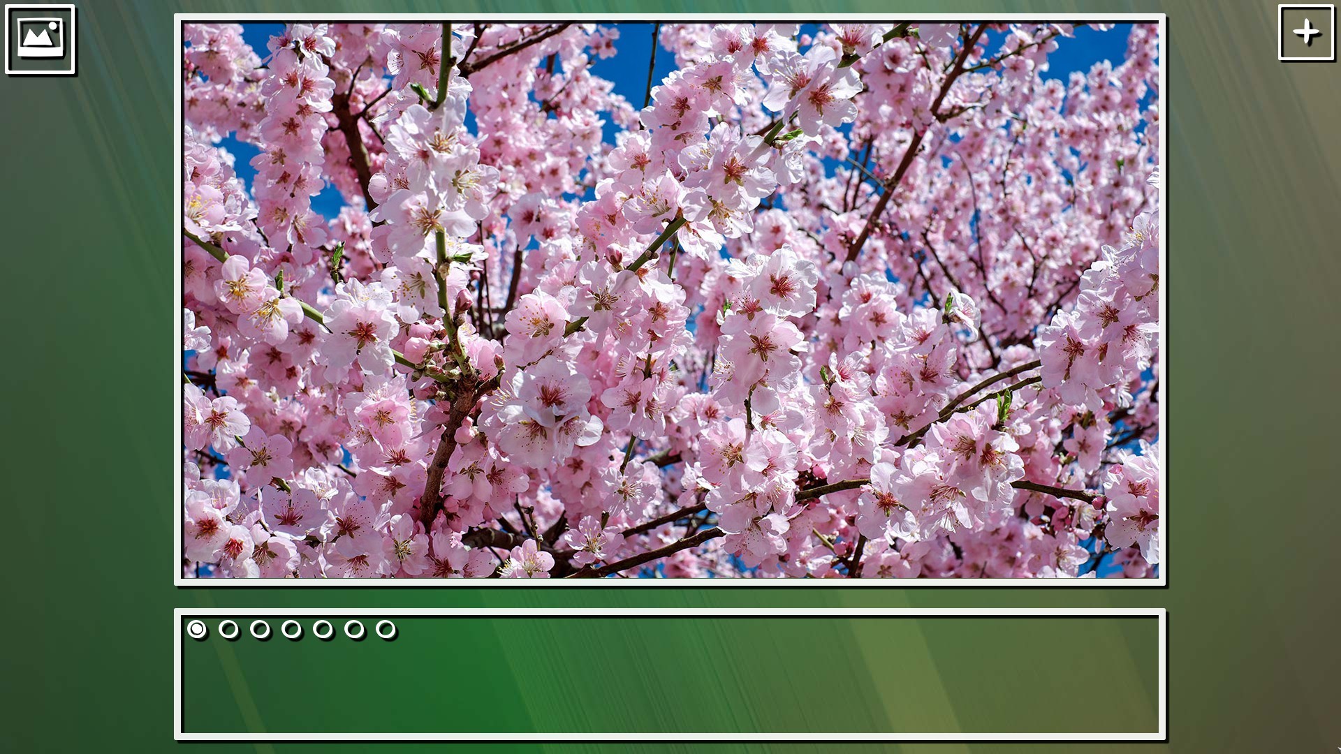 Super Jigsaw Puzzle: Generations - Flowers Puzzles screenshot 8