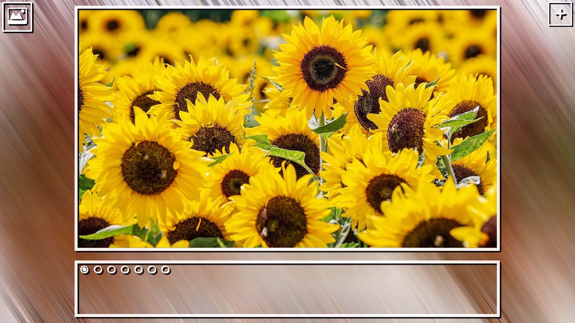 Super Jigsaw Puzzle: Generations - Flowers Puzzles screenshot 20