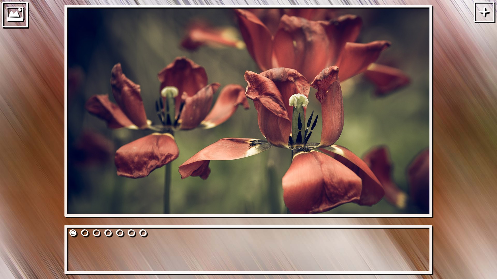 Super Jigsaw Puzzle: Generations - Flowers Puzzles screenshot 21