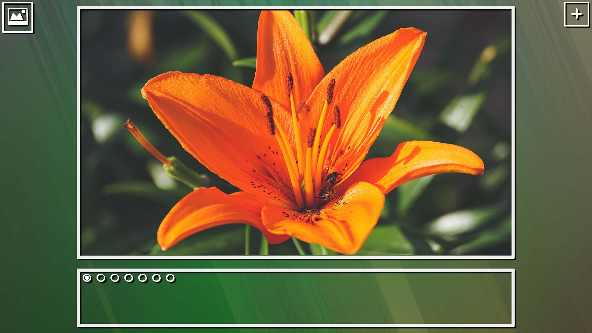 Super Jigsaw Puzzle: Generations - Flowers Puzzles screenshot 10