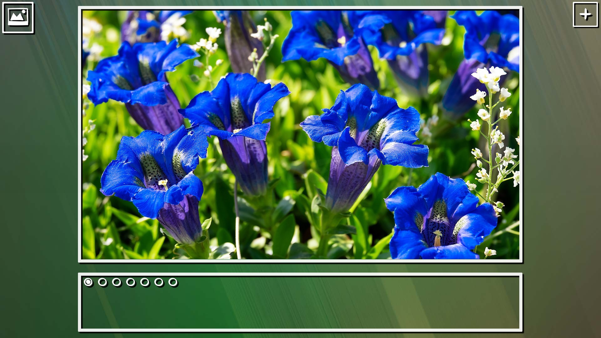 Super Jigsaw Puzzle: Generations - Flowers Puzzles screenshot 7