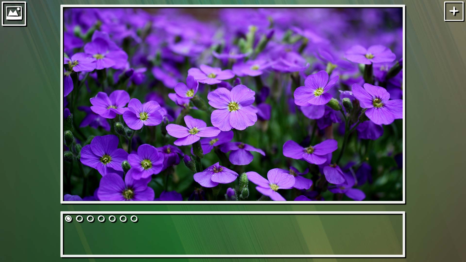 Super Jigsaw Puzzle: Generations - Flowers Puzzles screenshot 6