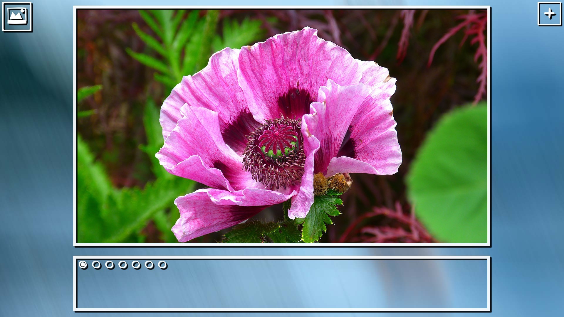 Super Jigsaw Puzzle: Generations - Flowers Puzzles screenshot 13