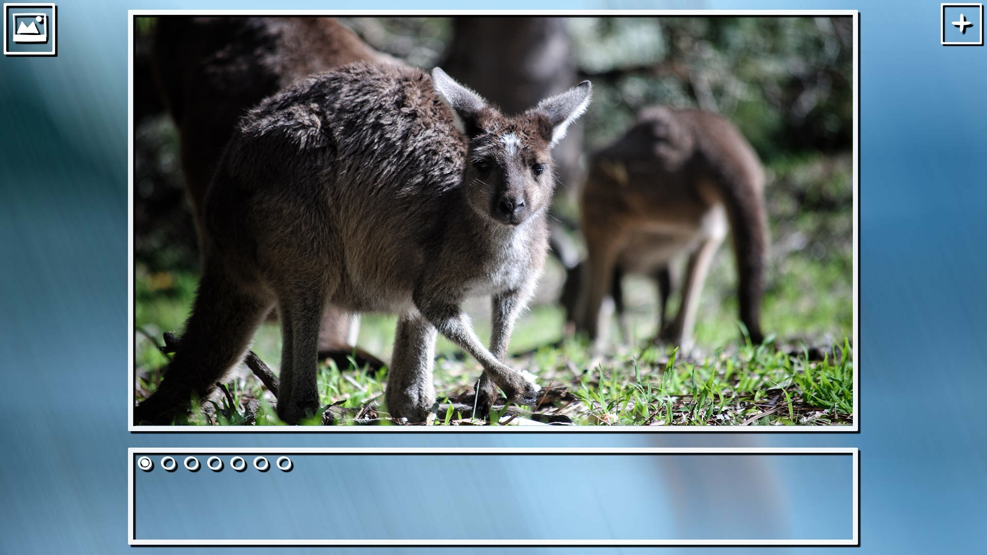 Super Jigsaw Puzzle: Generations - Australia Puzzles screenshot 8