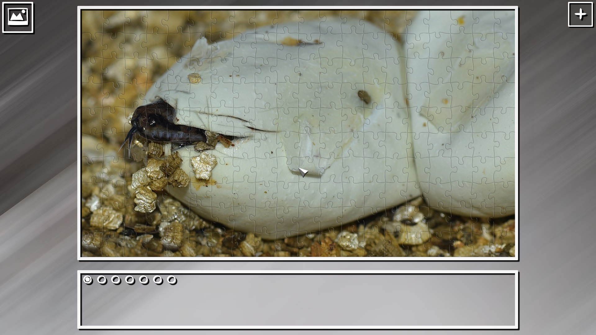 Super Jigsaw Puzzle: Generations - Snakes Puzzles screenshot 3