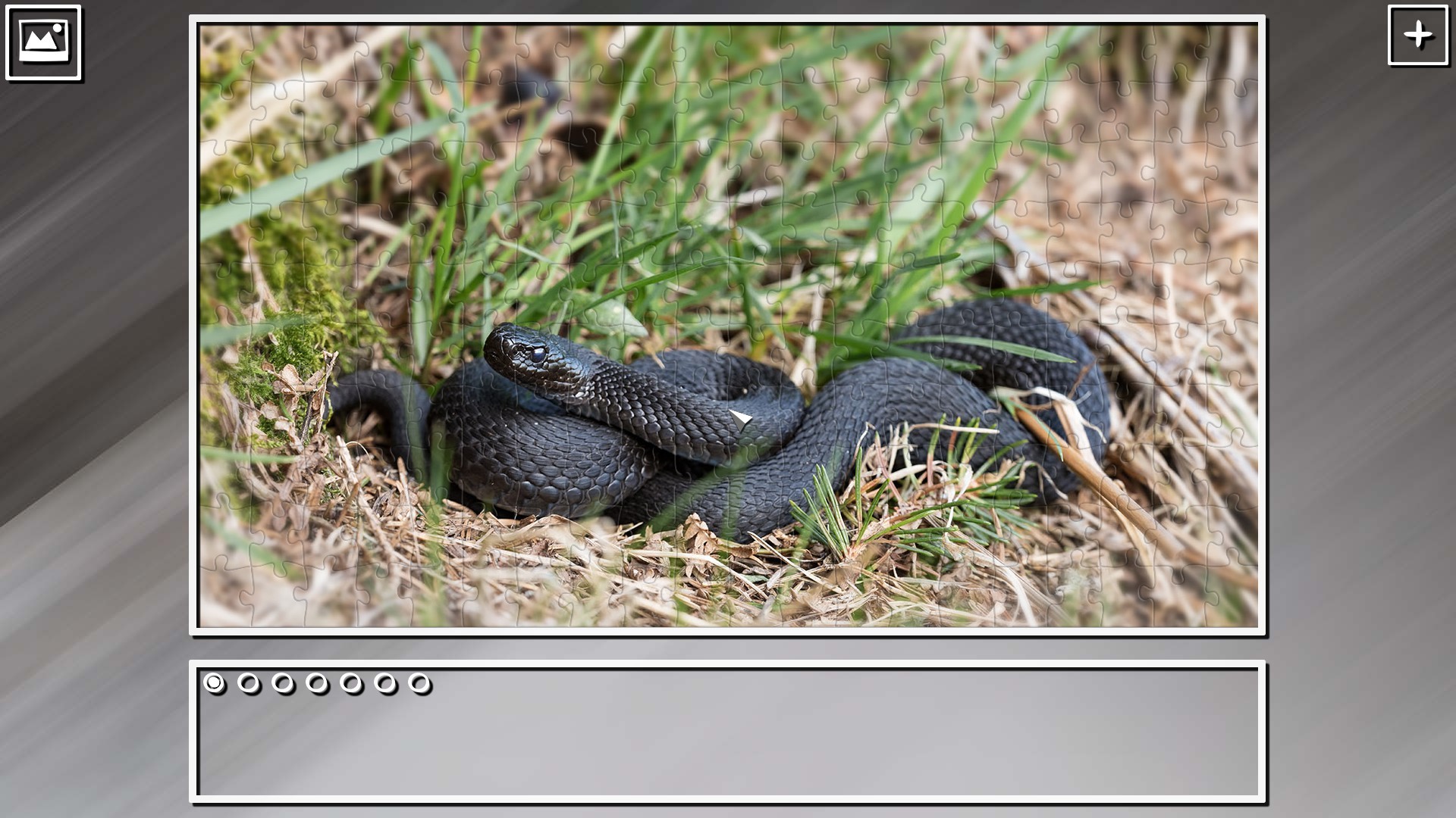 Super Jigsaw Puzzle: Generations - Snakes Puzzles screenshot 6