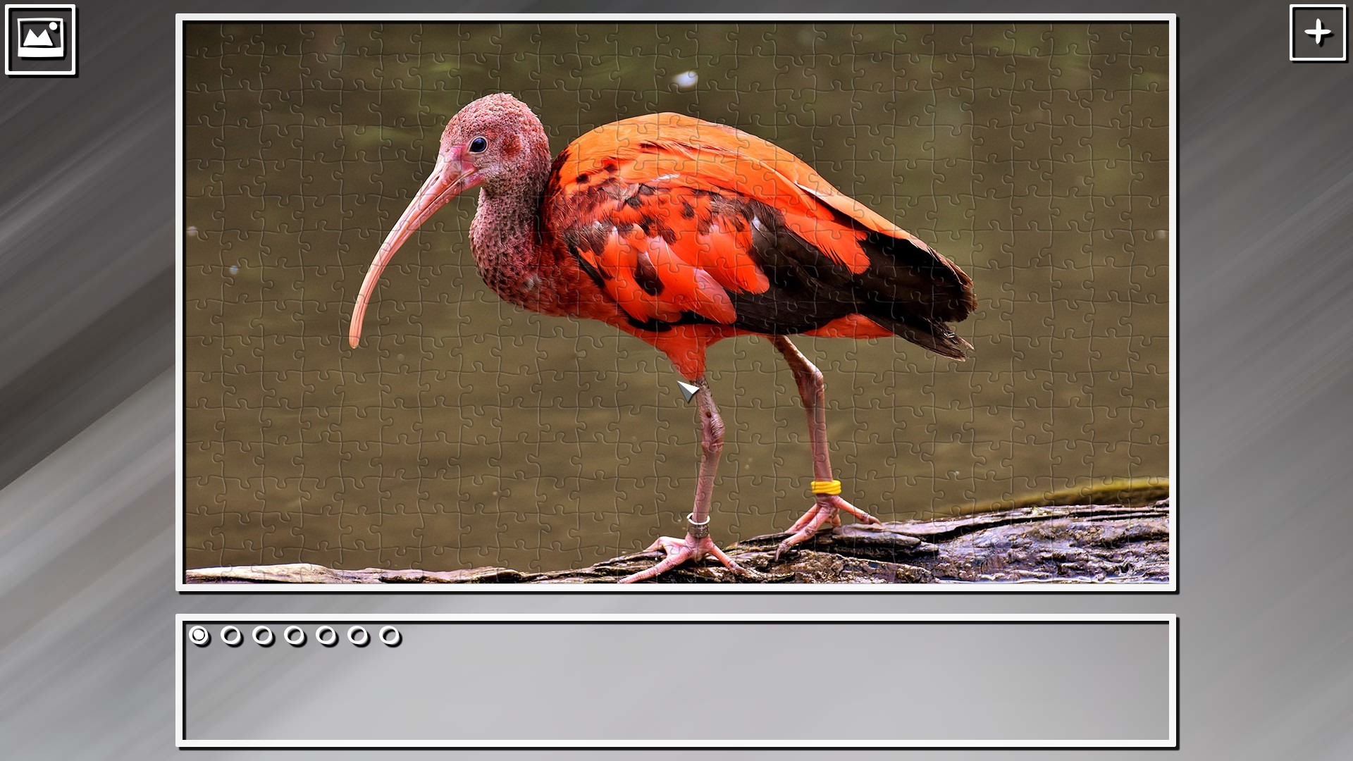 Super Jigsaw Puzzle: Generations - Random Animals Puzzles screenshot 16