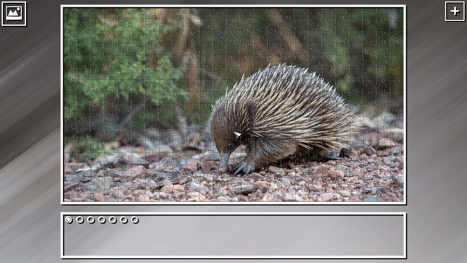 Super Jigsaw Puzzle: Generations - Random Animals Puzzles screenshot 9
