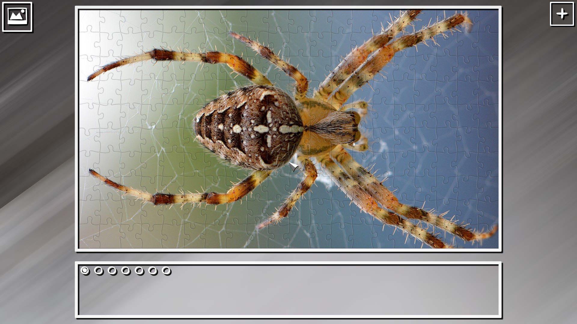 Super Jigsaw Puzzle: Generations - Random Animals Puzzles screenshot 28