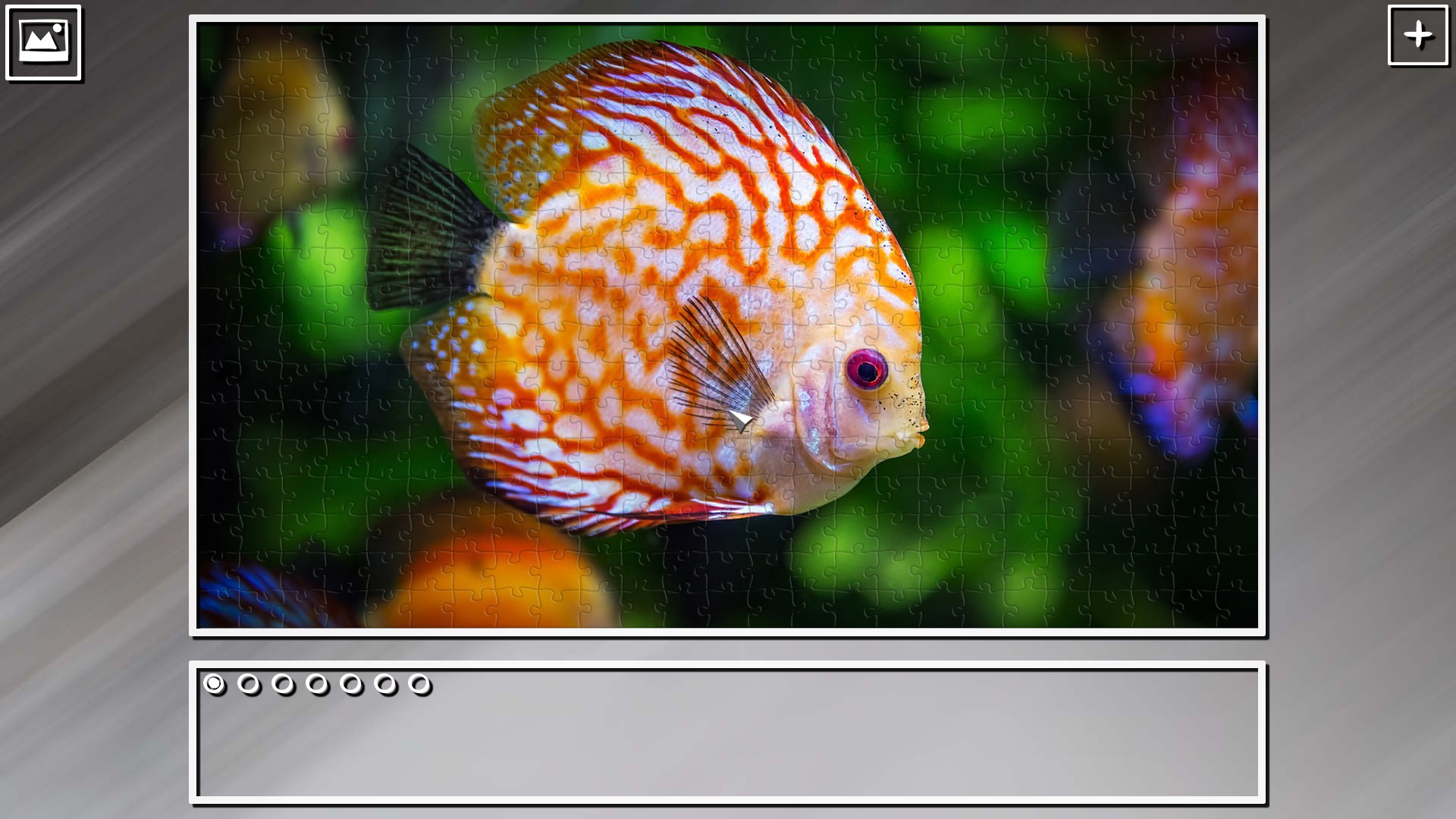 Super Jigsaw Puzzle: Generations - Random Animals Puzzles screenshot 8