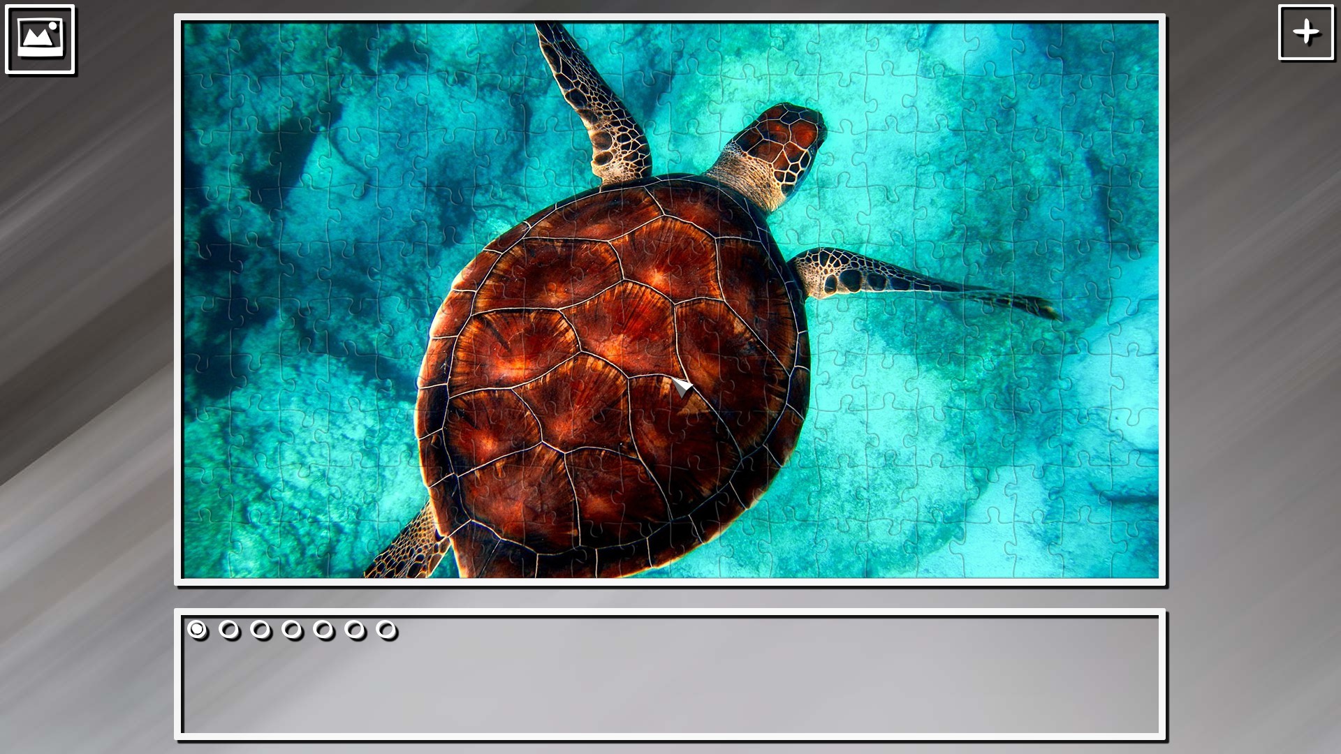 Super Jigsaw Puzzle: Generations - Random Animals Puzzles screenshot 26