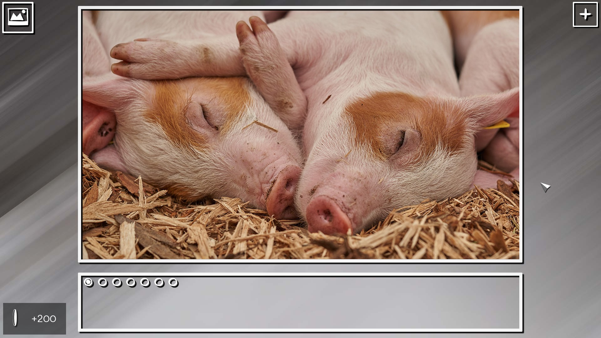 Super Jigsaw Puzzle: Generations - Random Animals Puzzles screenshot 24