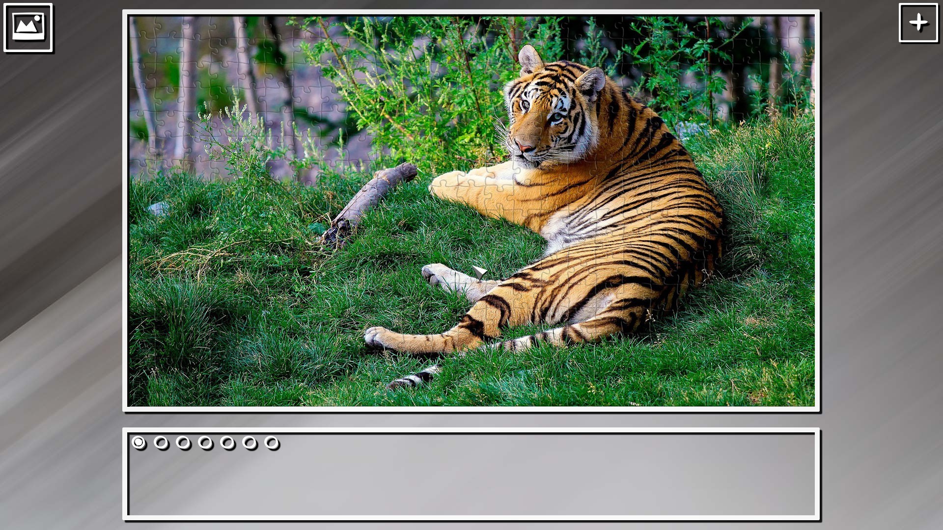 Super Jigsaw Puzzle: Generations - Random Animals Puzzles screenshot 4