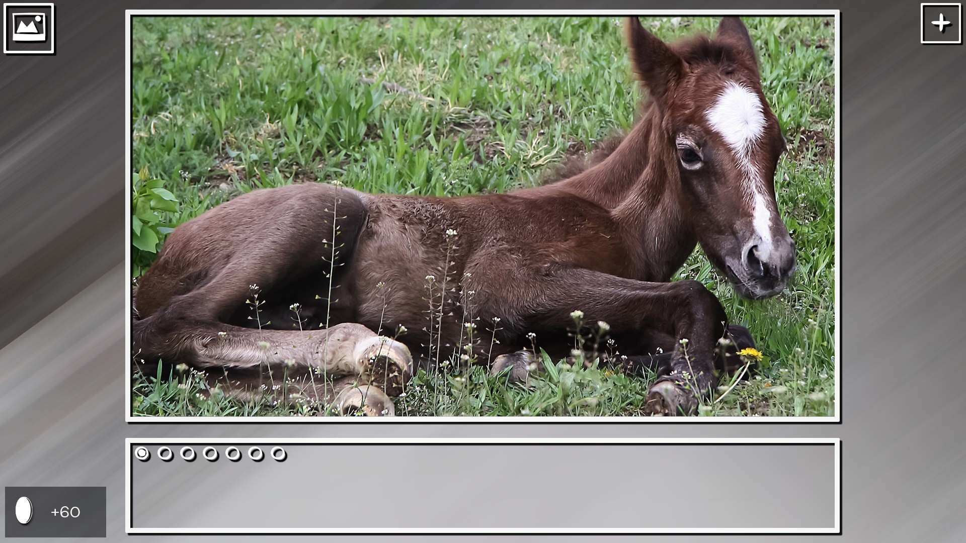 Super Jigsaw Puzzle: Generations - Horses Puzzles screenshot 1