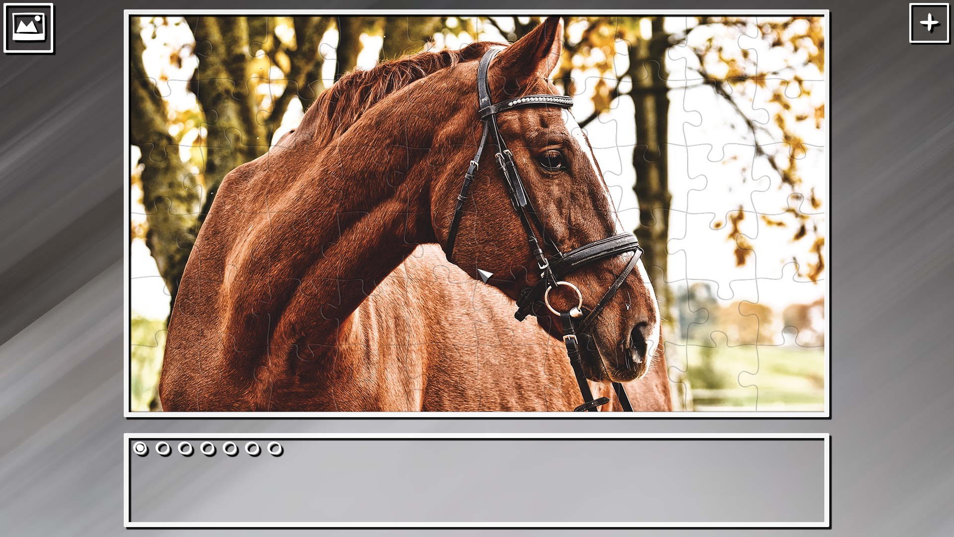 Super Jigsaw Puzzle: Generations - Horses Puzzles screenshot 5