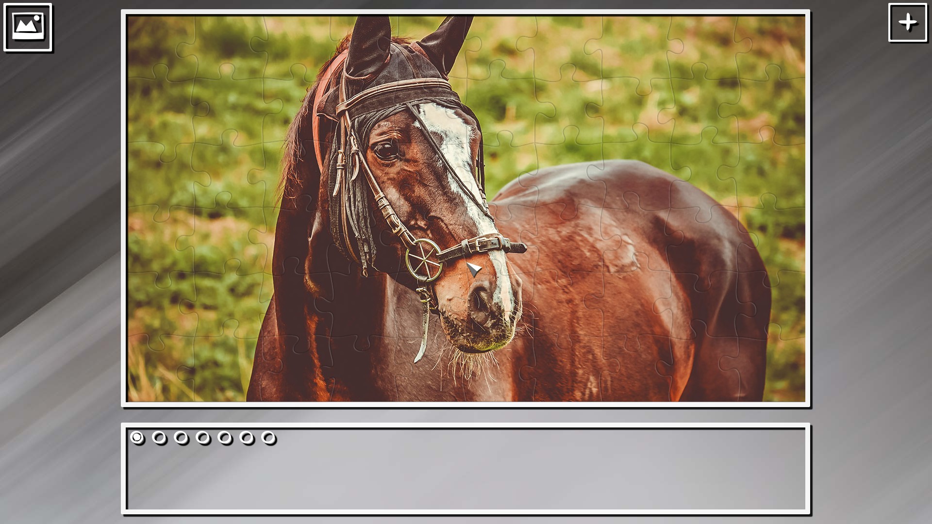 Super Jigsaw Puzzle: Generations - Horses Puzzles screenshot 3