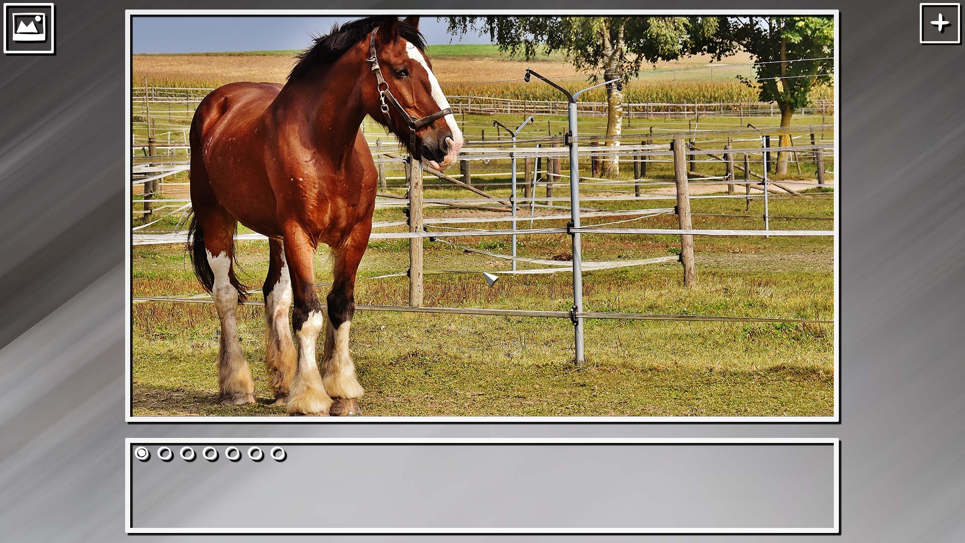 Super Jigsaw Puzzle: Generations - Horses Puzzles screenshot 4