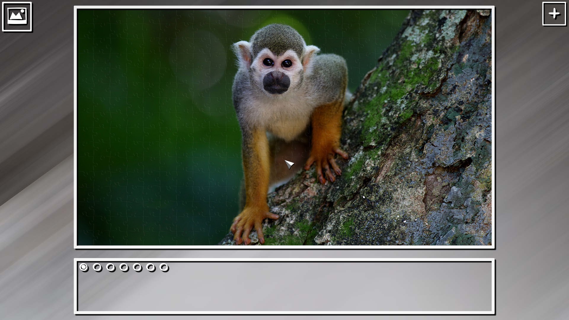 Super Jigsaw Puzzle: Generations - Monkeys & Apes Puzzles screenshot 11