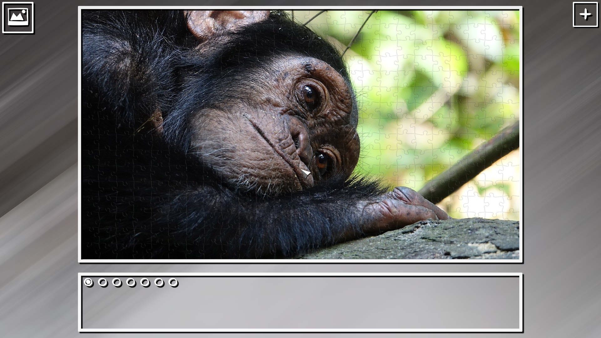 Super Jigsaw Puzzle: Generations - Monkeys & Apes Puzzles screenshot 10