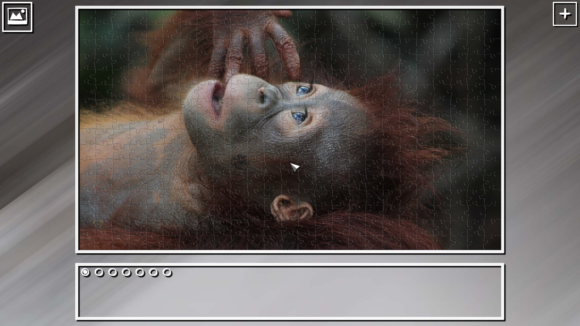 Super Jigsaw Puzzle: Generations - Monkeys & Apes Puzzles screenshot 13