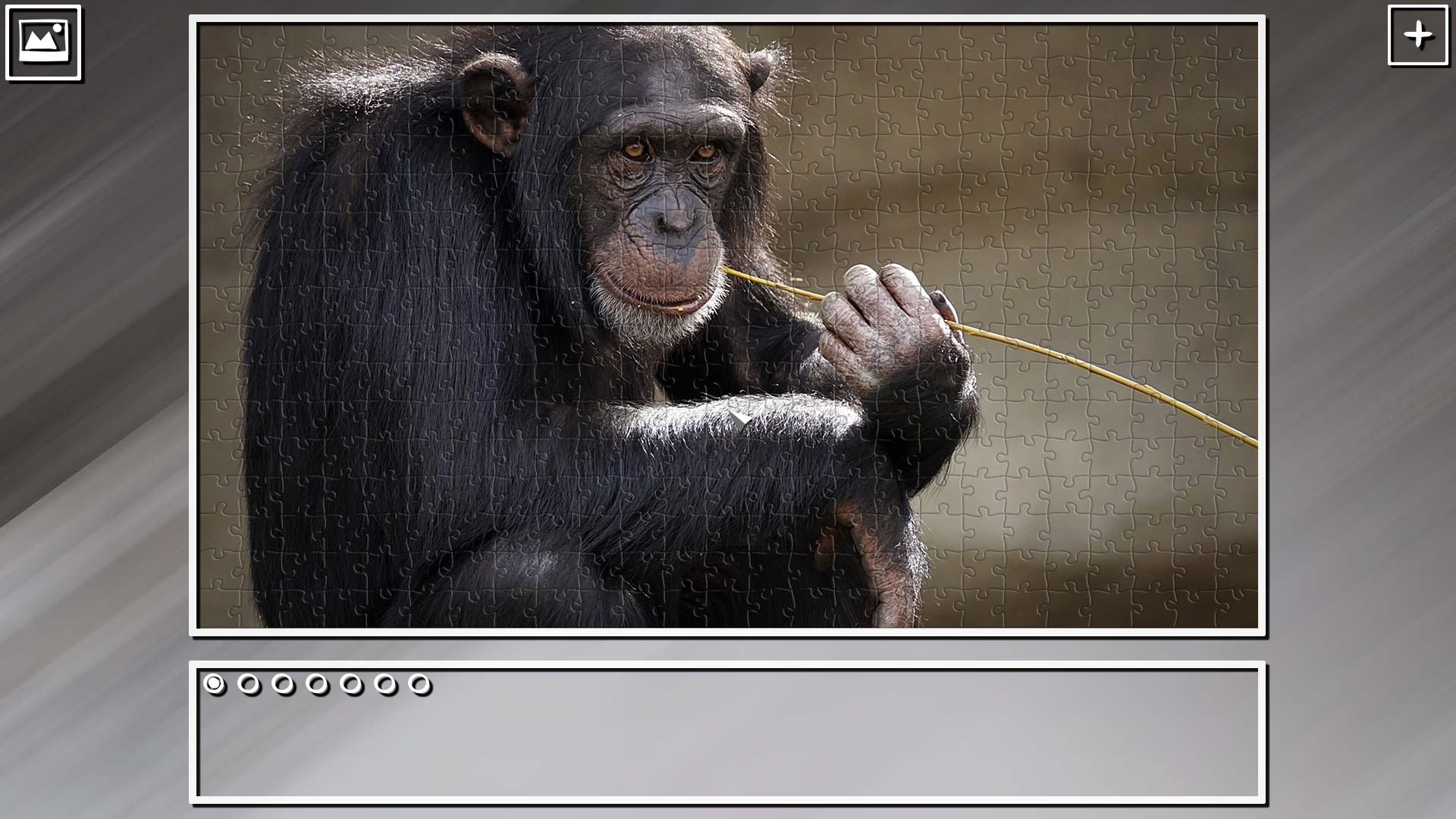 Super Jigsaw Puzzle: Generations - Monkeys & Apes Puzzles screenshot 6