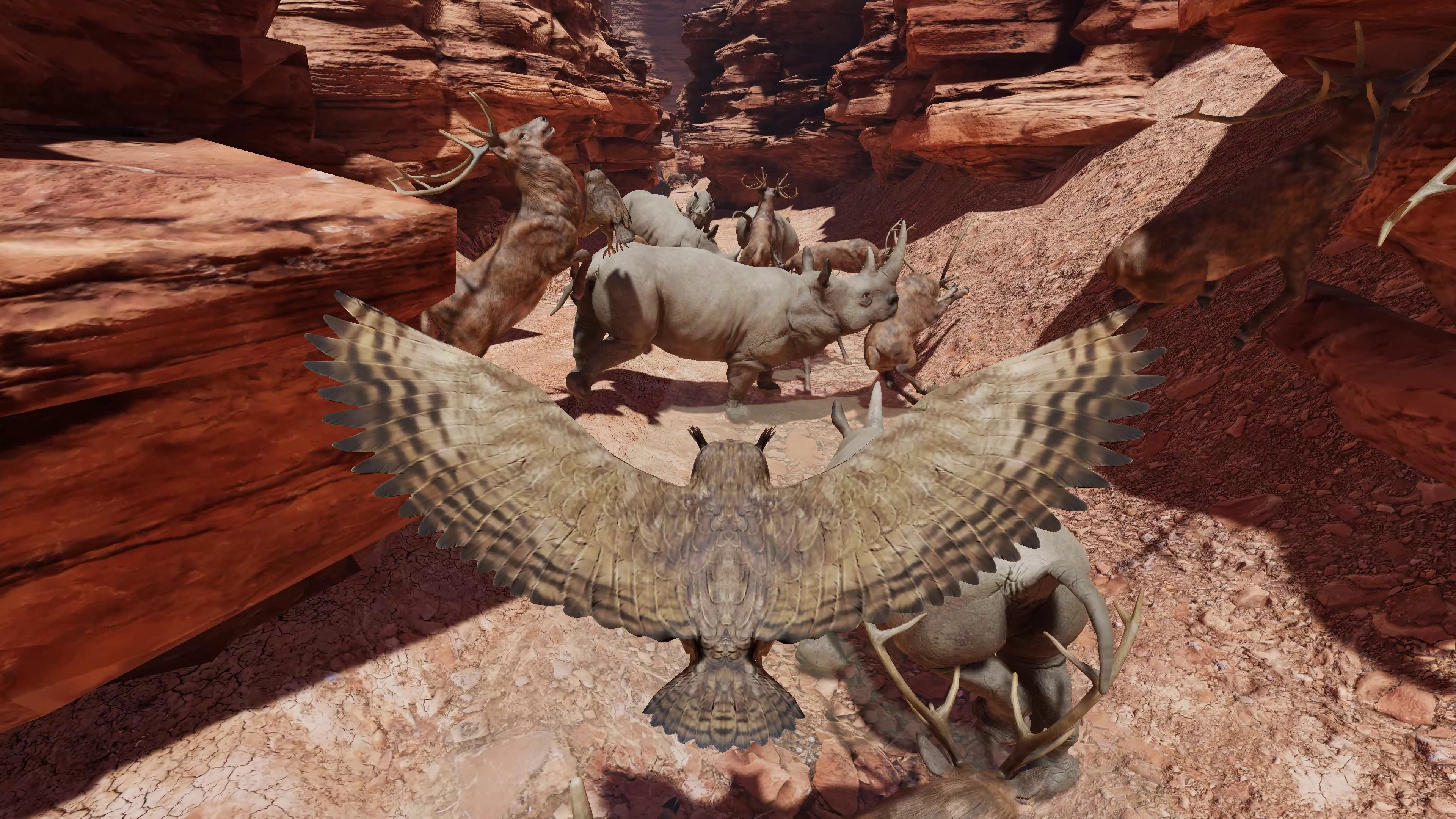 Food Chain screenshot 12