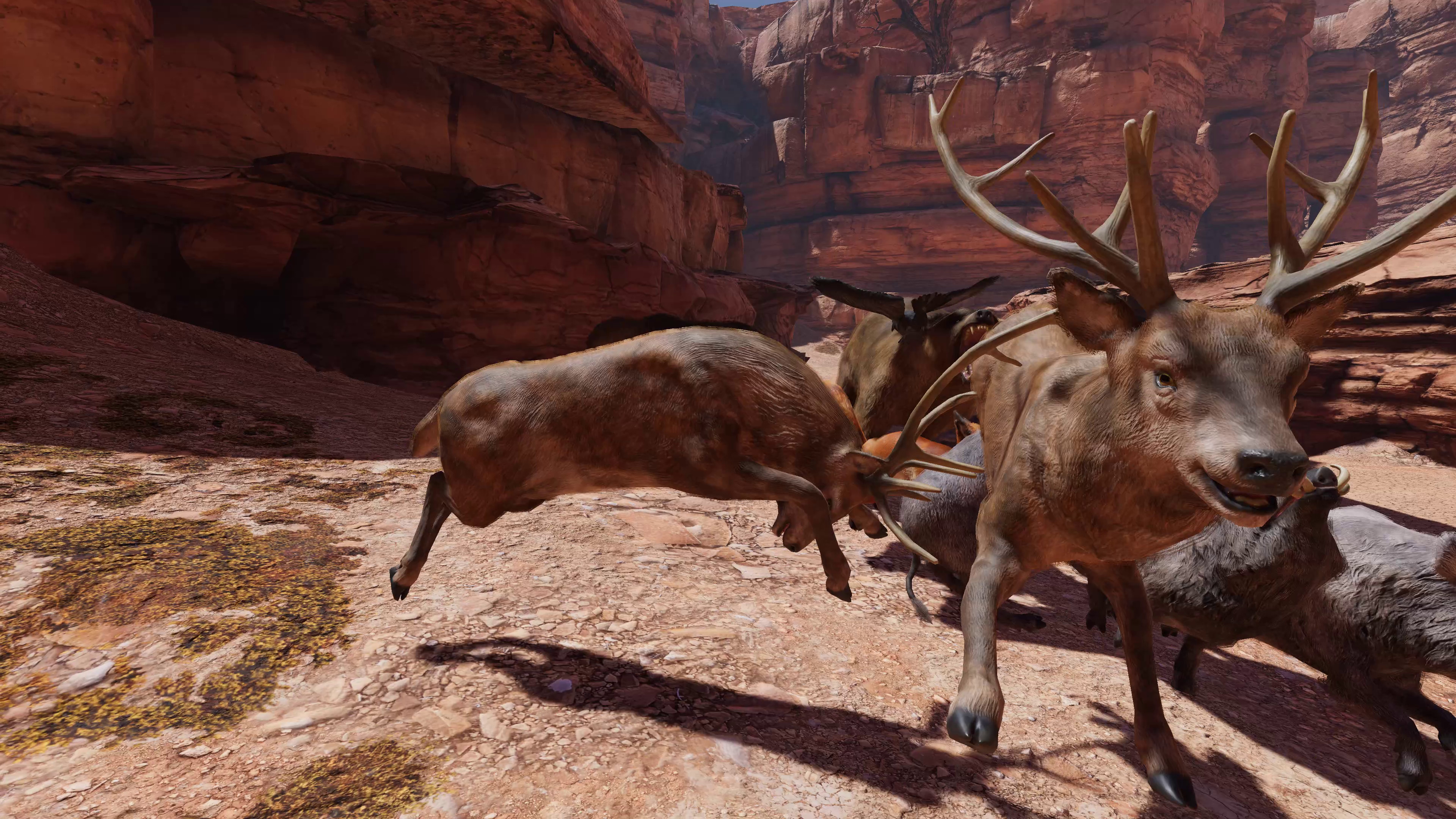 Food Chain screenshot 8