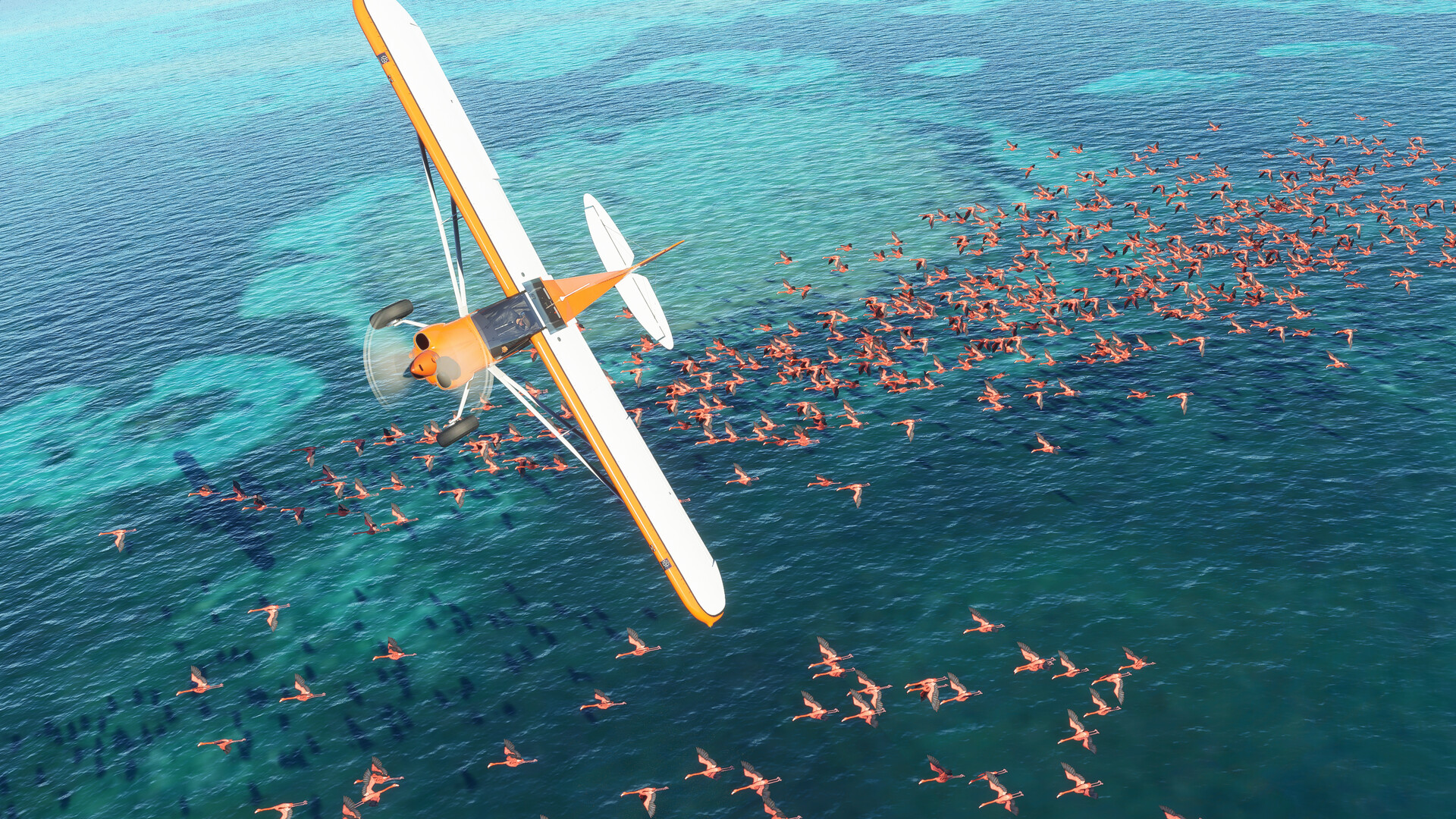 Microsoft Flight Simulator (2020) 40th Anniversary Edition — изображение 18