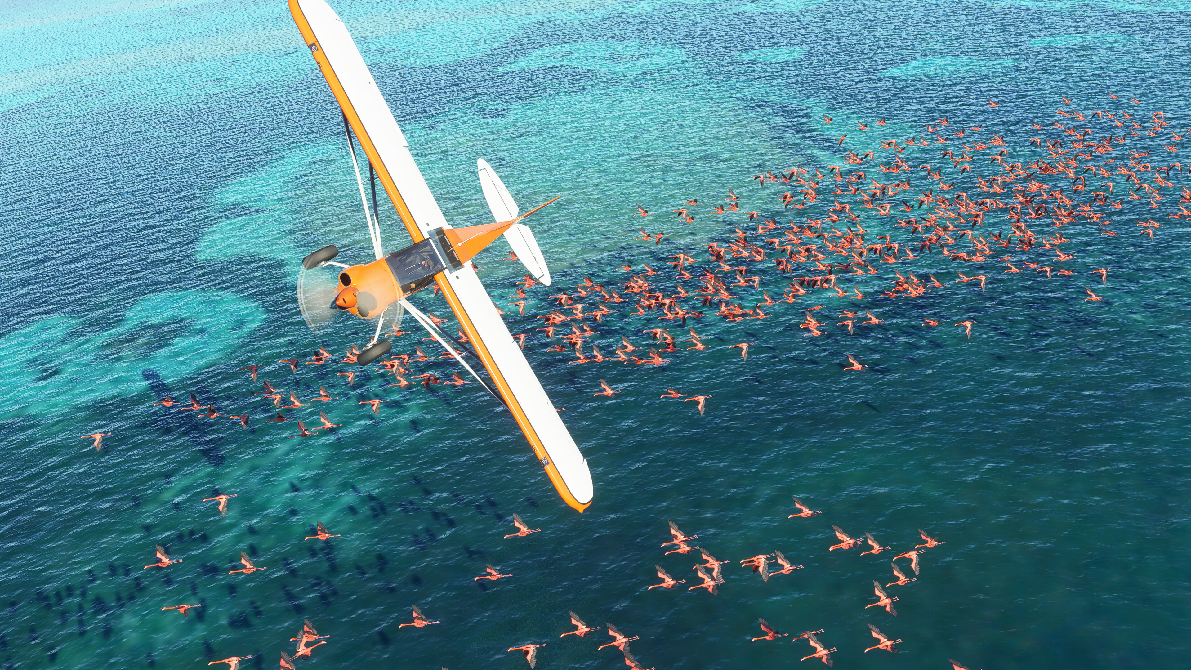 Microsoft Flight Simulator (2020) screenshot 18