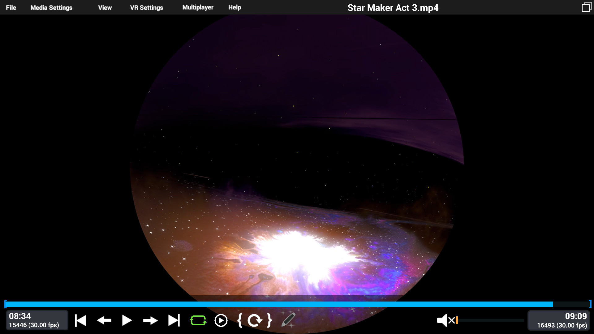 Festoon screenshot 2