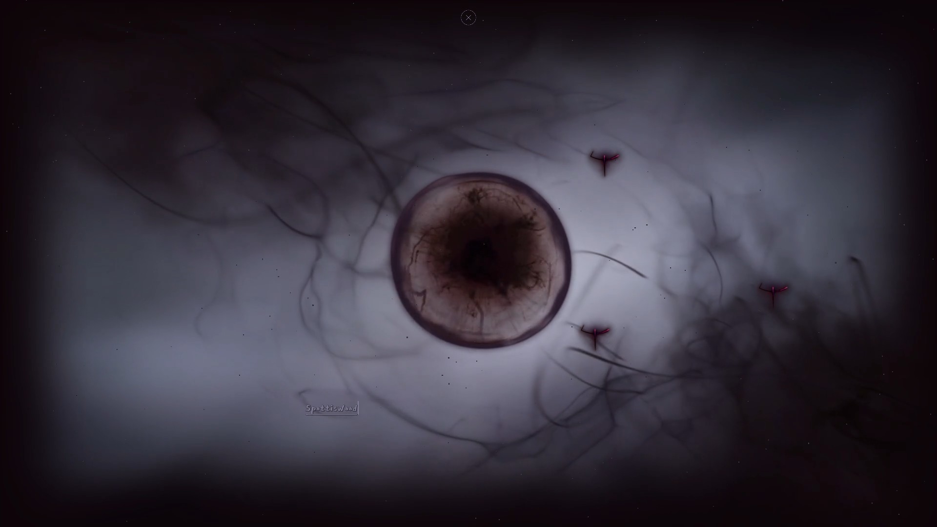 Cyrano Story screenshot 7