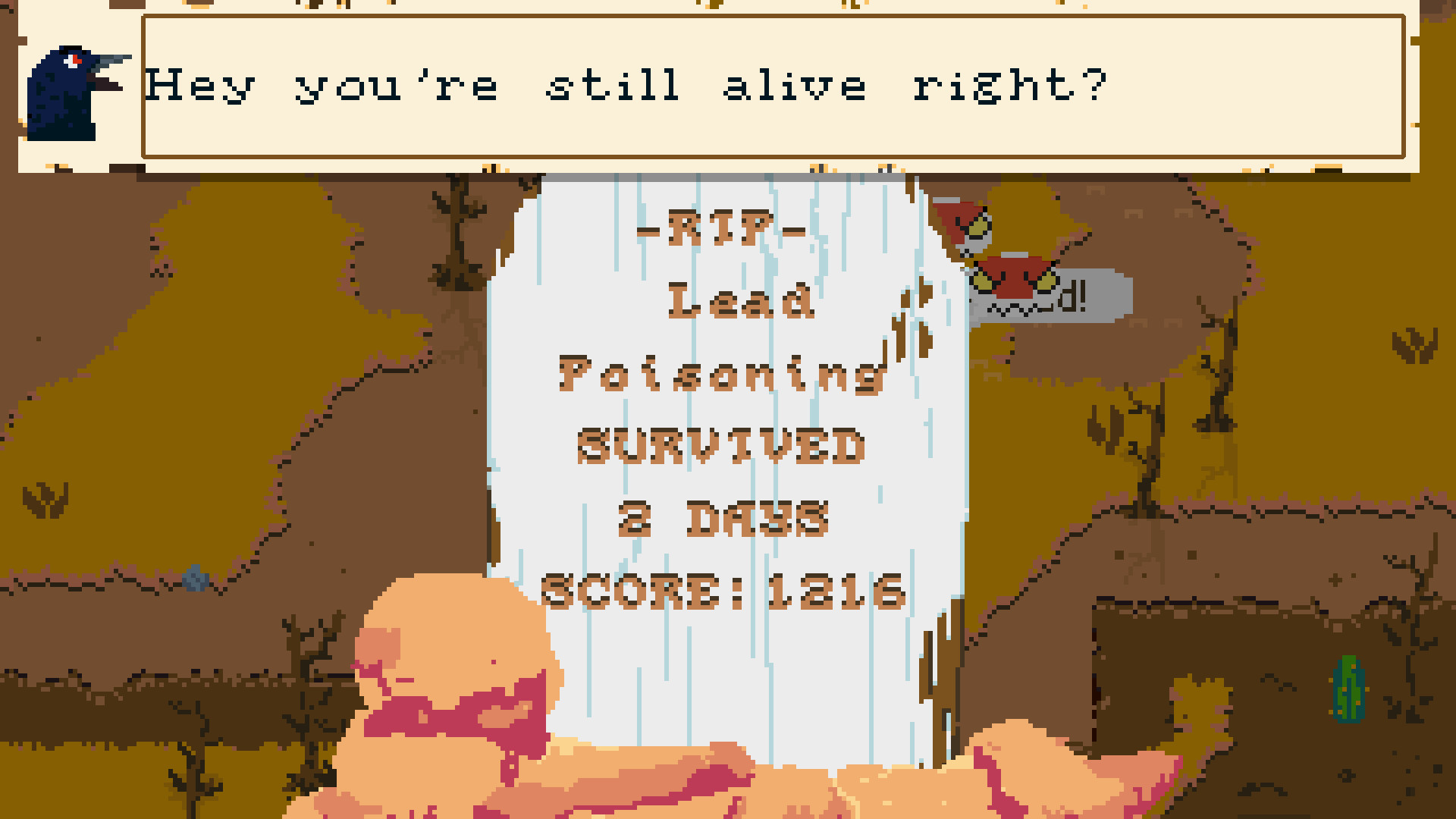 Duster screenshot 6