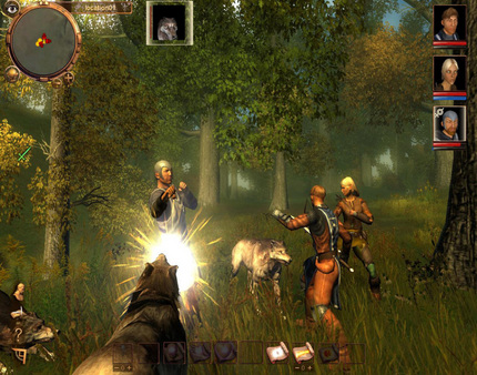 Drakensang screenshot
