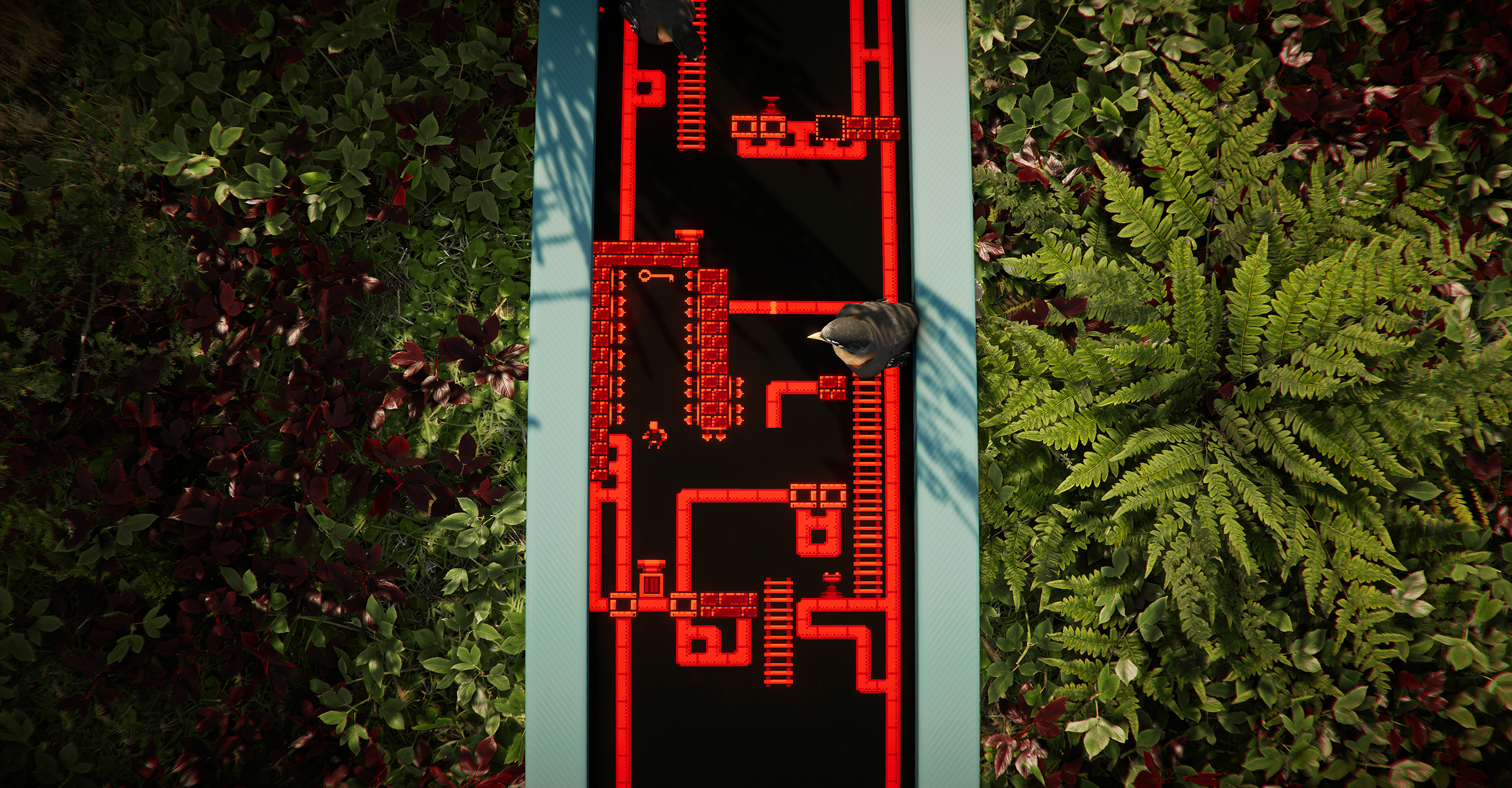 The Forest Cathedral screenshot 1