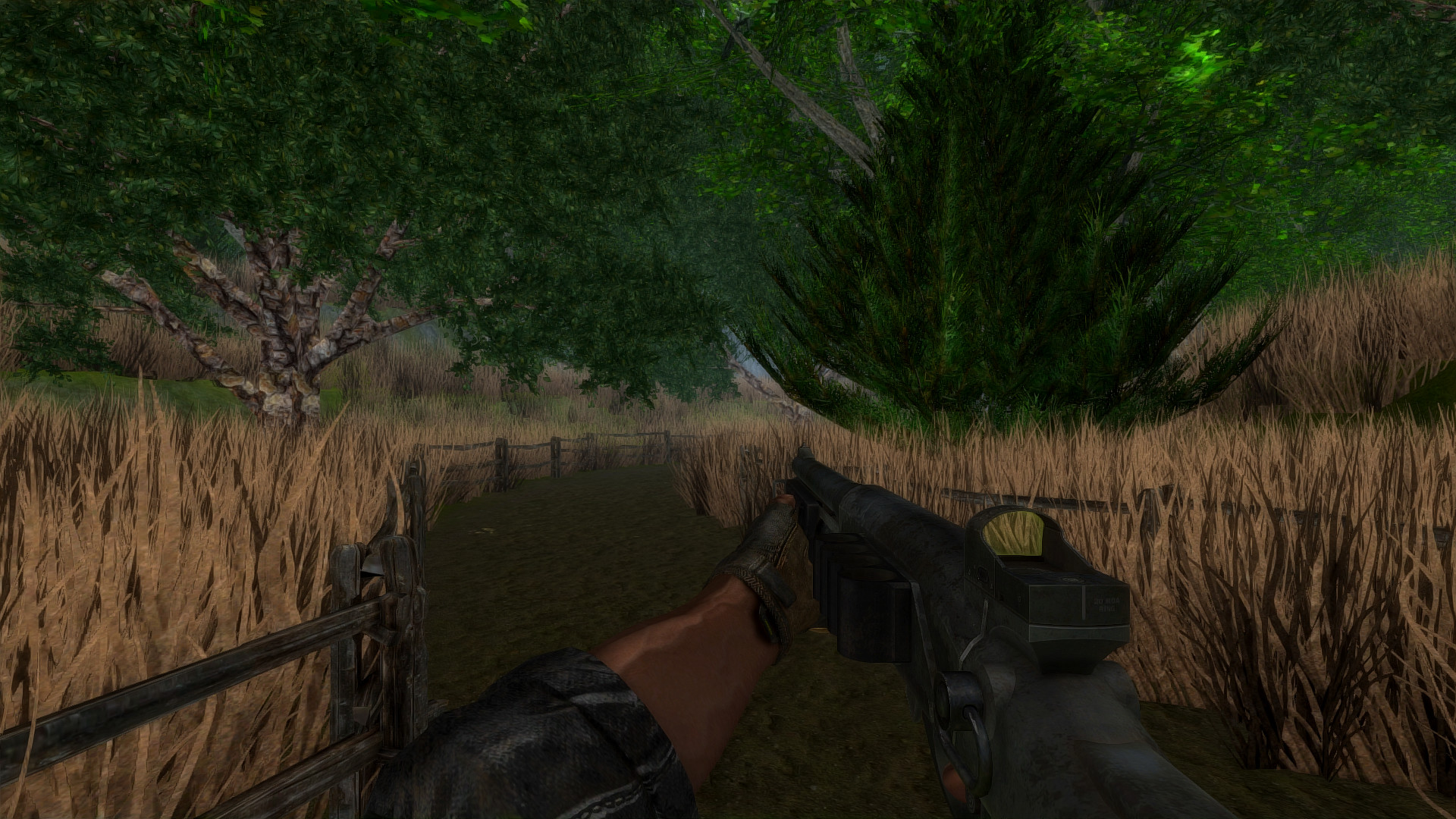 Dragon Storm screenshot 3