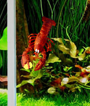 Aquarium Life screenshot 5
