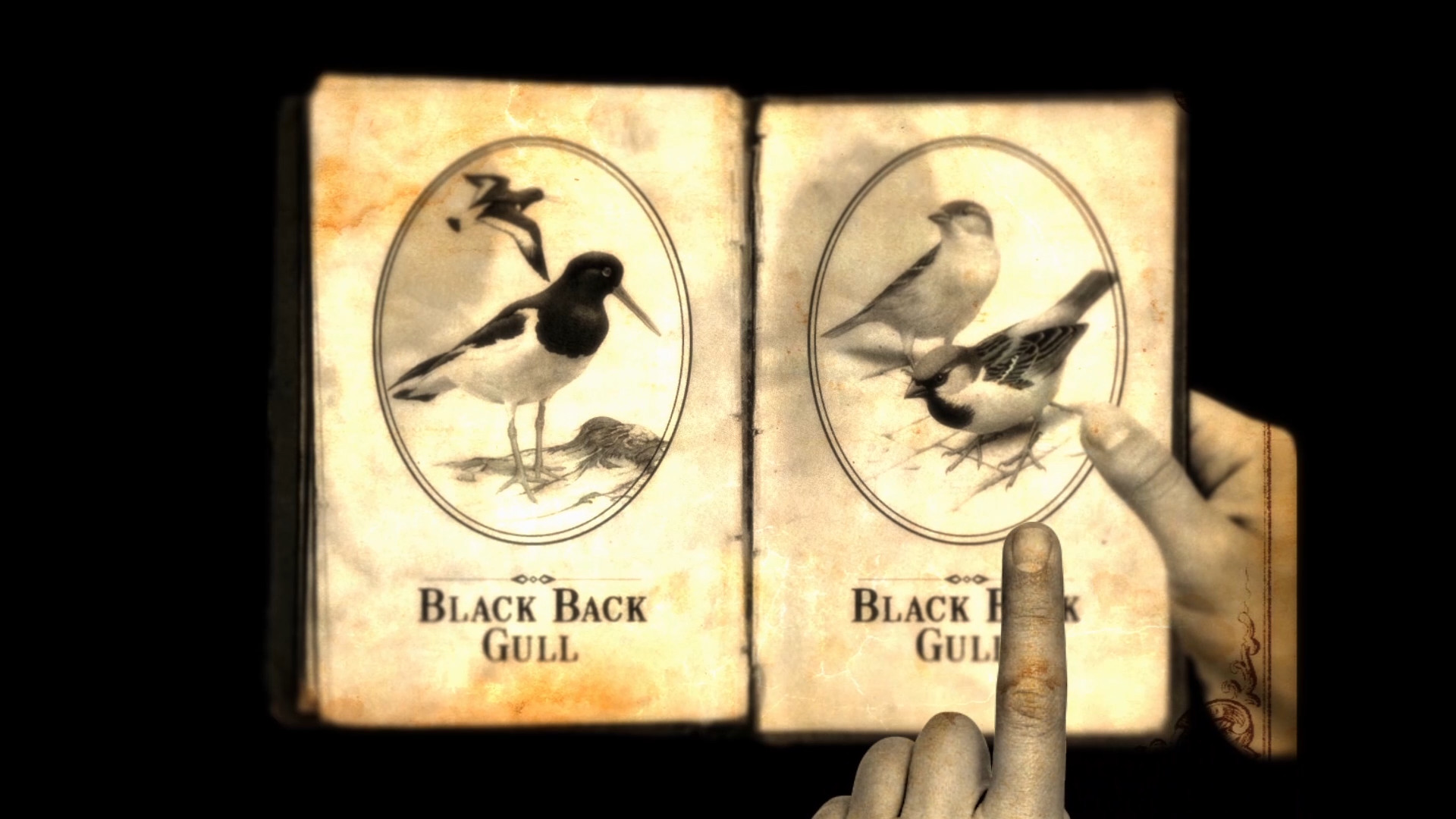 Lammana screenshot 29