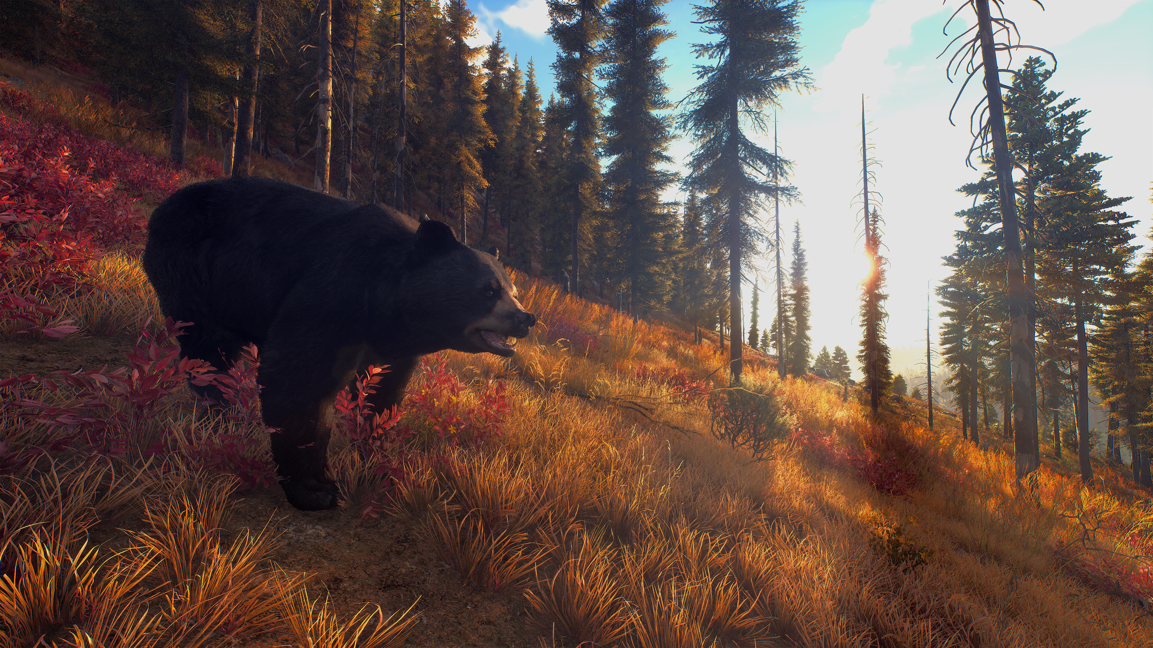 Way of the Hunter screenshot 21