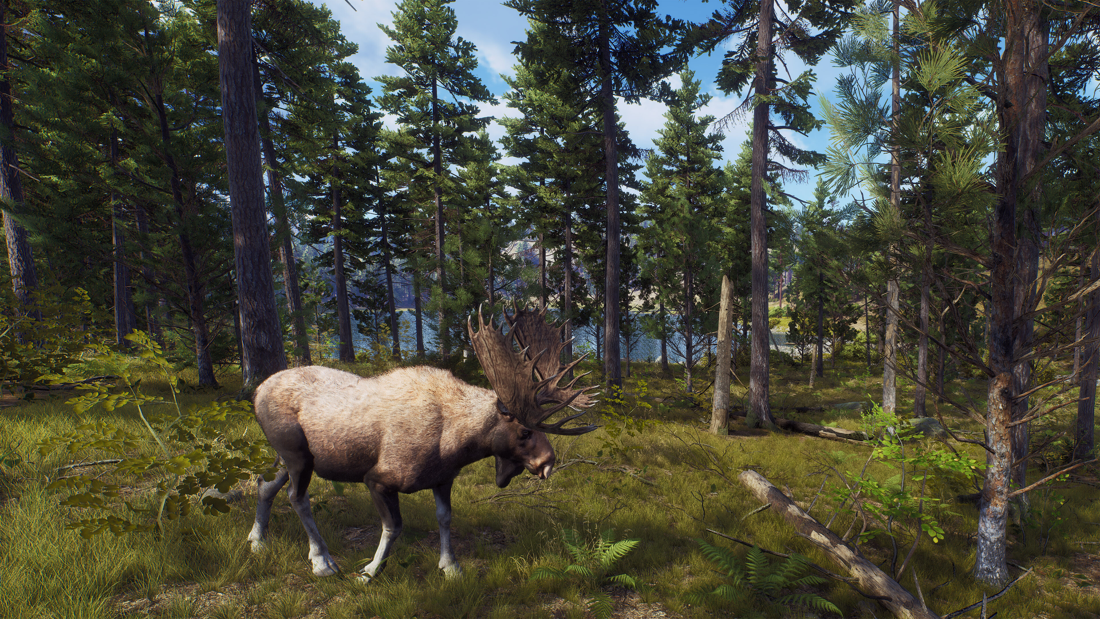 Way of the Hunter screenshot 23