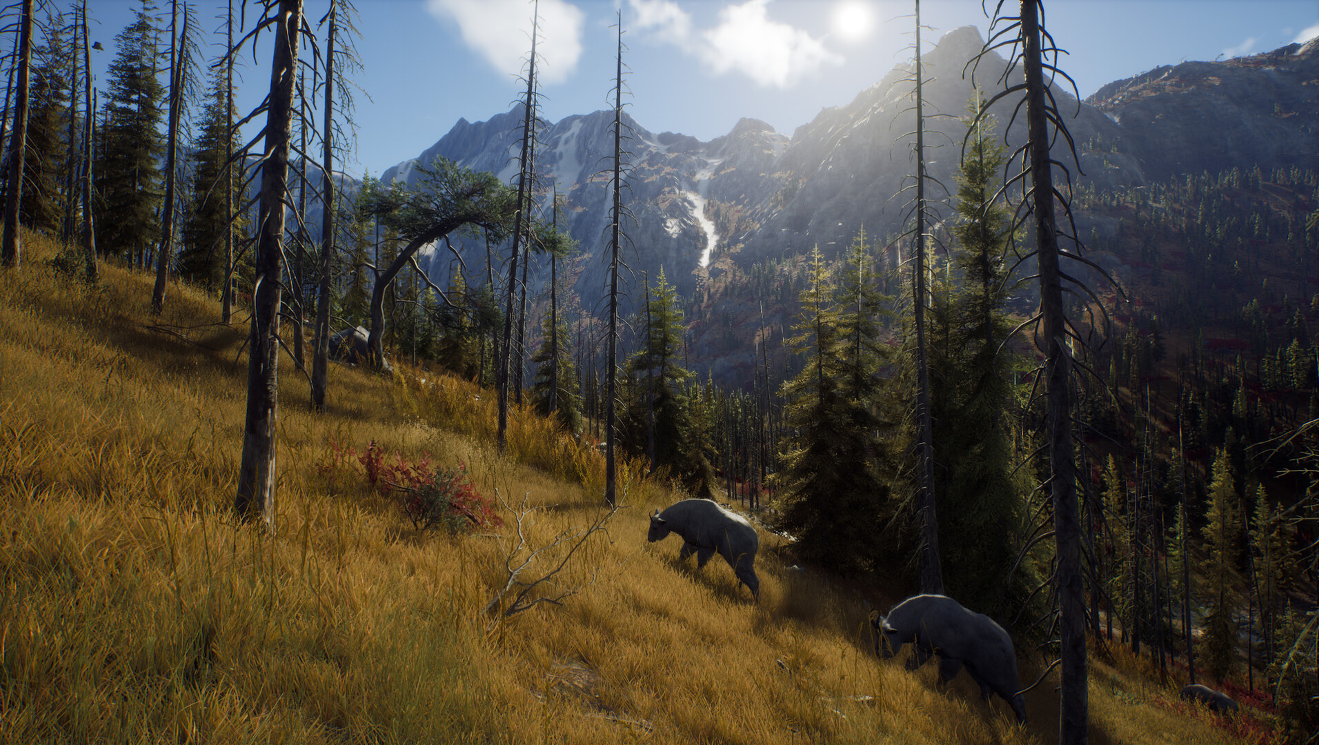 Way of the Hunter — изображение 15