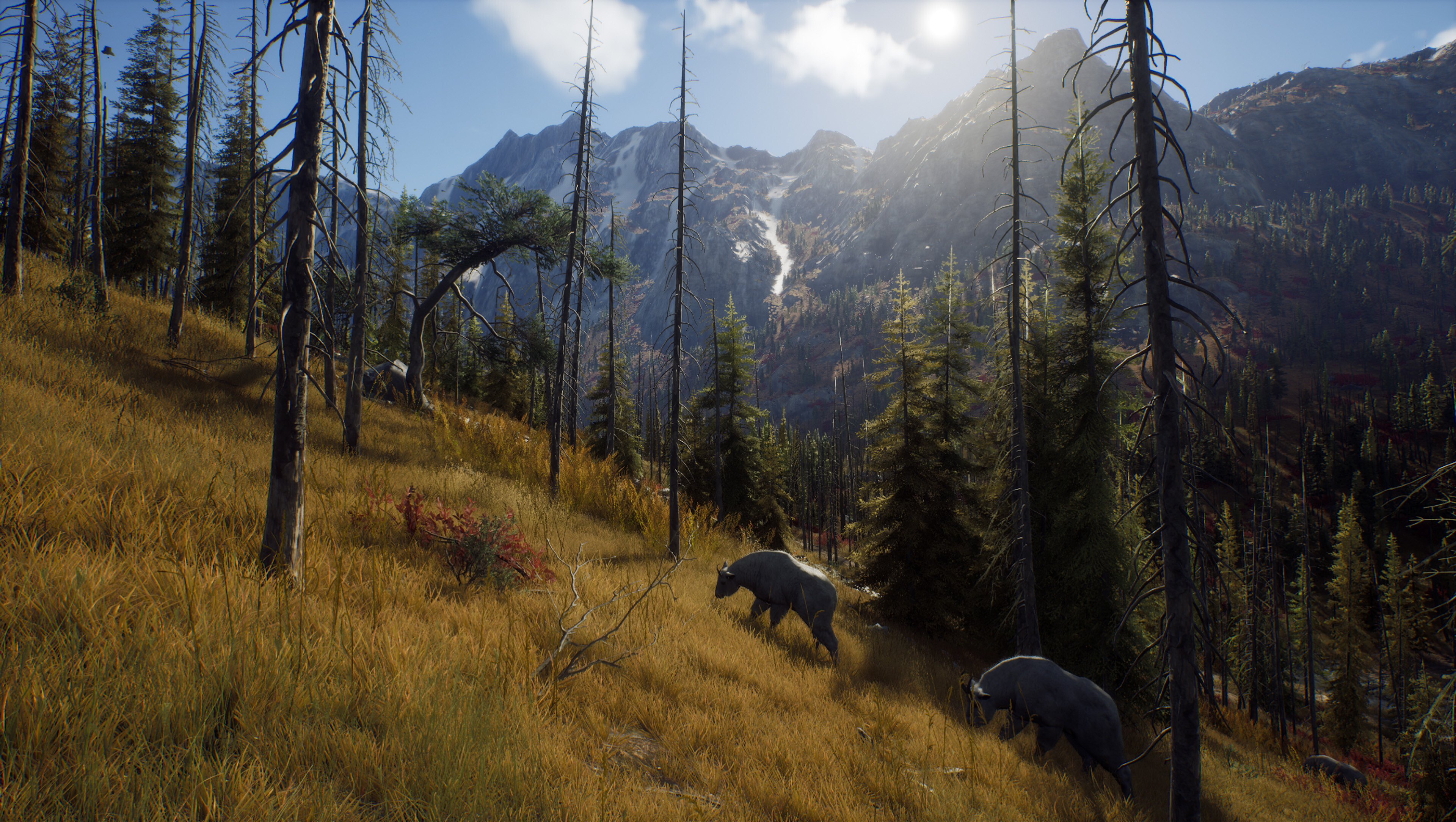 Way of the Hunter screenshot 7