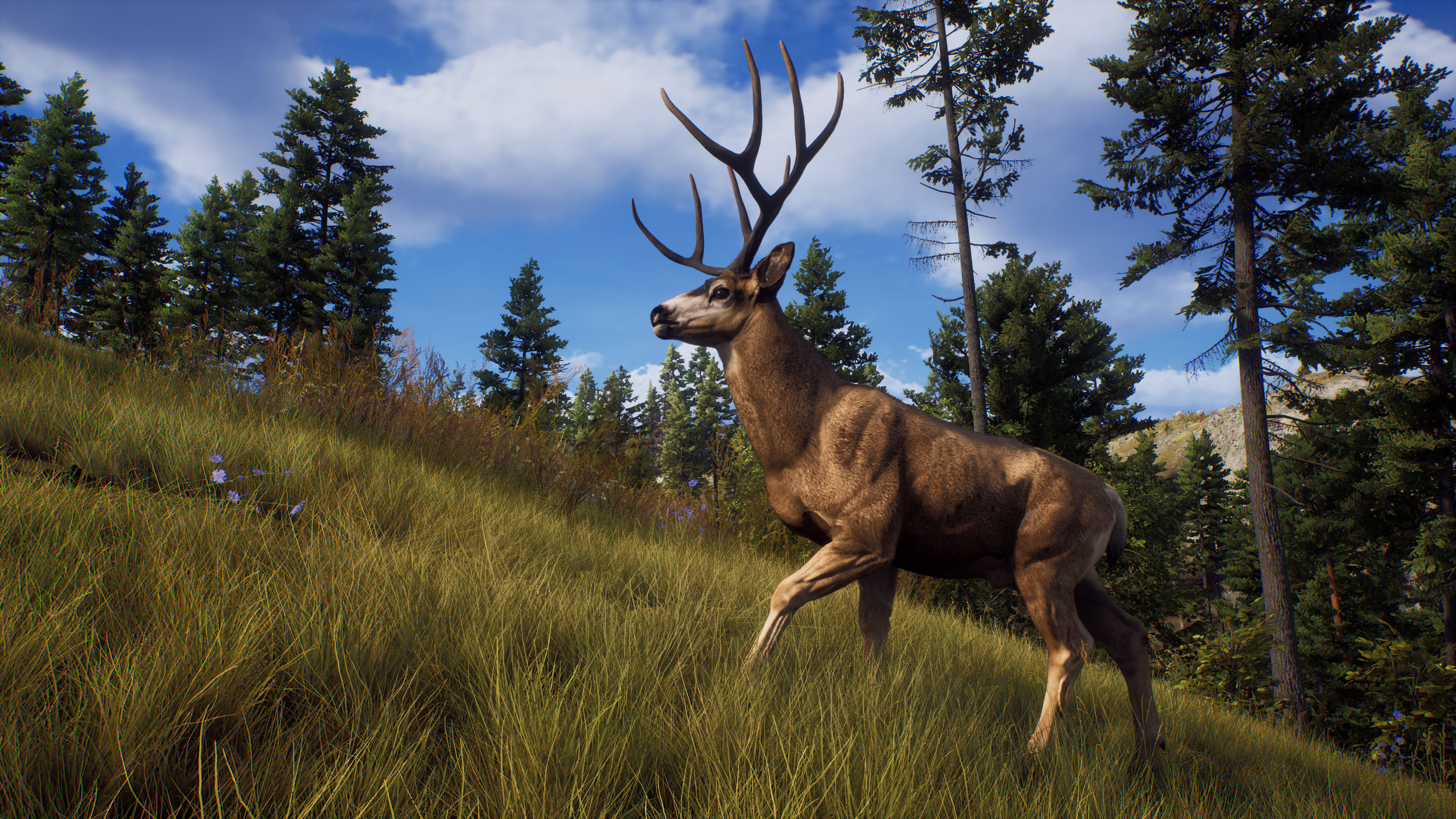 Way of the Hunter screenshot 13