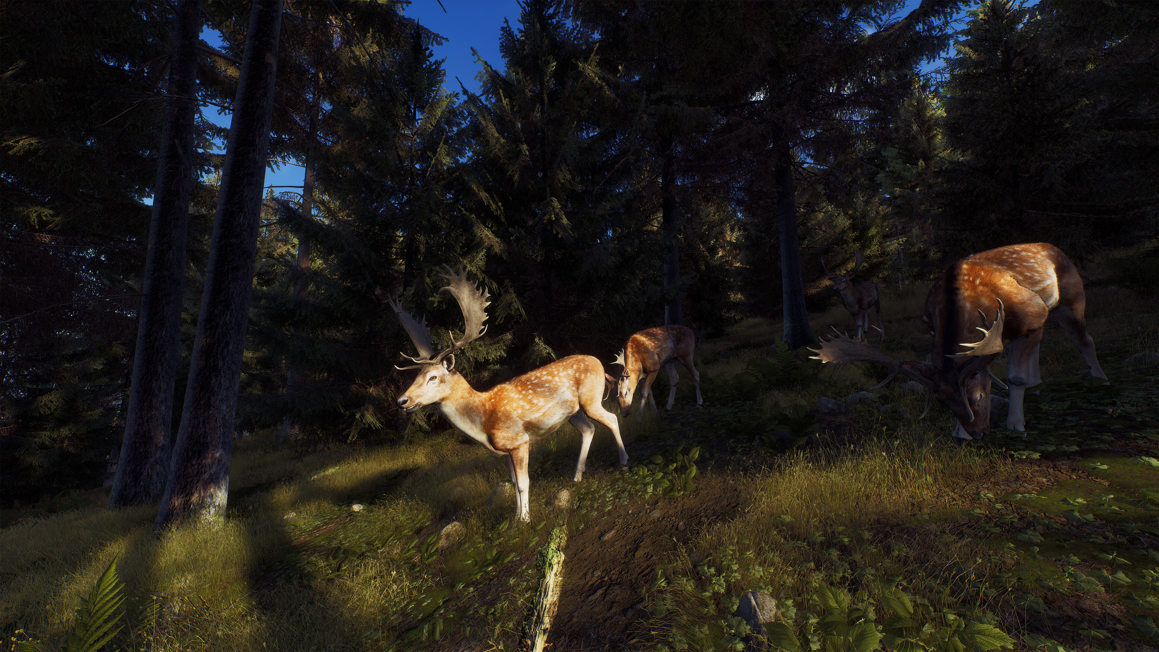 Way of the Hunter screenshot 16